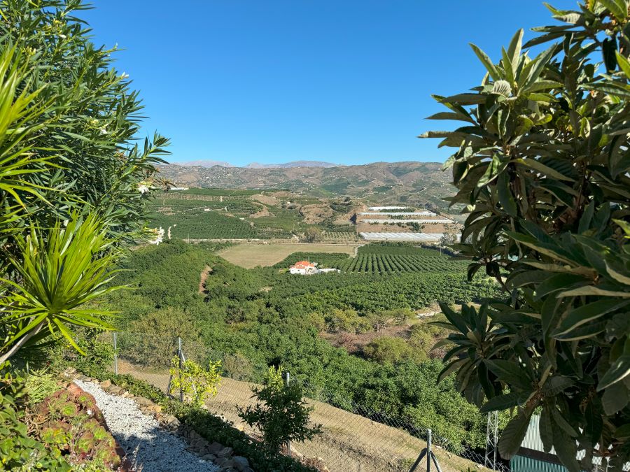 Good opportunity for investors. 7 studios in Vélez-Malaga with pool and beautiful mountain views.